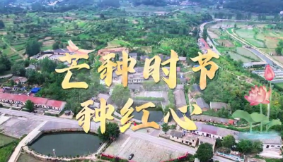 湖北红安盐店河村：芒种时节种红心