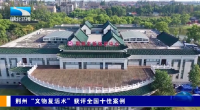 荆州“文物复活术” 获评全国十佳案例