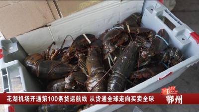鄂州花湖机场开通第100条货运航线 从货通全球走向买卖全球