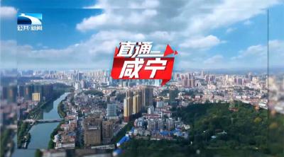 直通咸宁 | 楚商回乡 共建支点