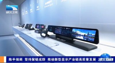 陈平强调 坚持聚链成群 推动新型显示产业链高质量发展