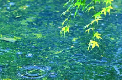 梅雨“中场休息”即将结束 湖北新一轮强降雨已在路上......