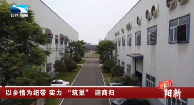 黄石阳新：以乡情为纽带 实力 “筑巢” 迎商归