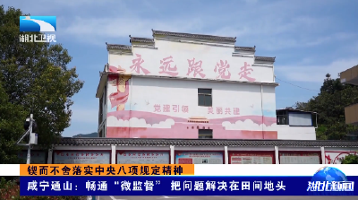 锲而不舍落实中央八项规定精神丨咸宁通山：畅通“微监督” 把问题解决在田间地头