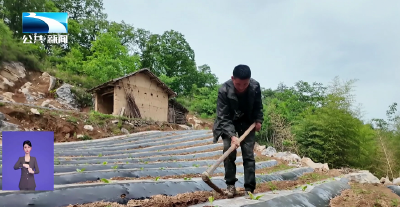 向永新：一只手种出“希望之花”