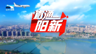 直通阳新 | 以乡情为纽带 实力“筑巢”迎商归