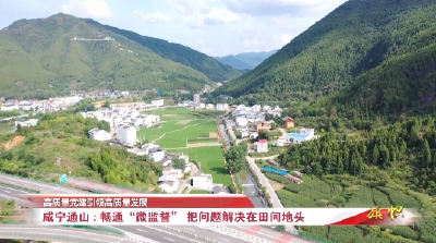 高质量党建引领高质量发展 | 咸宁通山：畅通“微监督” 把问题解决在田间地头