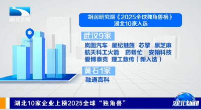 湖北10家企业上榜2025全球“独角兽”