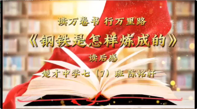 武汉市-楚才中学-《钢铁是怎样炼成的》读后感-陈铭轩