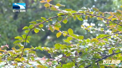 科普大讲堂｜梅雨季节 防潮防霉有妙招