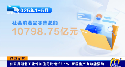 权威发布 | 前五月湖北工业增加值同比增长8.1% 新质生产力动能强劲