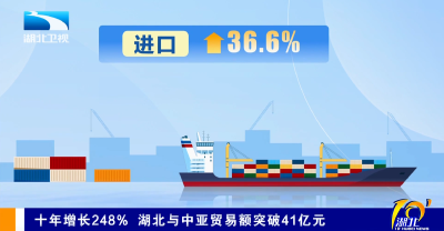 十年增长248% 湖北与中亚贸易额突破41亿元