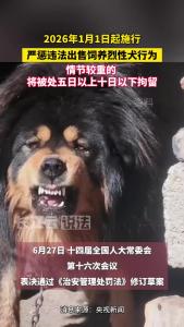 违法出售饲养烈性犬，视情节行拘！