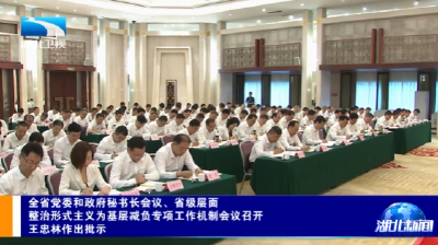 全省党委和政府秘书长会议、省级层面 整治形式主义为基层减负专项工作机制会议召开 王忠林作出批示