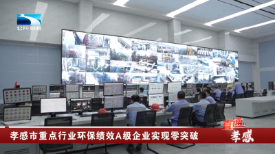 孝感市重点行业环保绩效A级企业实现零突破