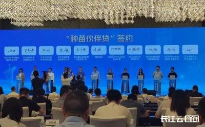光谷正式发布科创金融“伙伴工程”