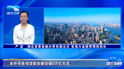 牢记嘱托 建成支点·厅局长访谈｜金融“活水” 澎湃支点建设新动能