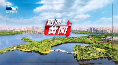 直通黄冈 | 甬黄携手打造新通道 大别山物产48小时通江达海