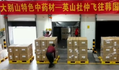 “荆”彩市州 | 搭乘冷链“飞的” 让英山农产品走向全国