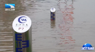 湖北迎战强降雨丨梅雨期首轮强降雨暂歇 24日后再迎强降水