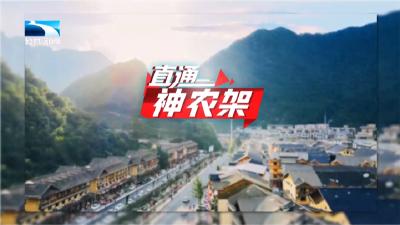 直通神农架 | 2025五郎青羊神农架山径赛暨黄金联赛中国系列赛鸣枪开跑