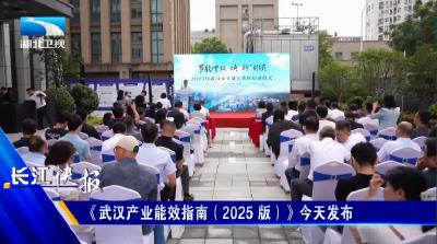 《武汉产业能效指南（2025 版）》今天发布