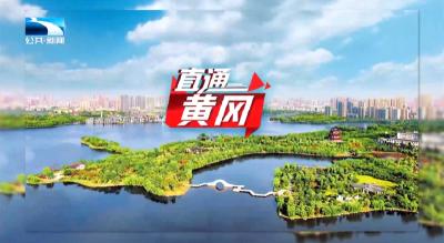 直通黄冈 | 三十支龙舟竞渡遗爱湖 传统与现代碰撞出端午新活力