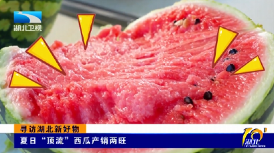 寻访湖北新好物 | 夏日“顶流”西瓜产销两旺