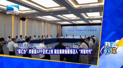 “鄂汇办”鸿蒙版APP正式上线，湖北省政务服务迈入“鸿蒙时代”