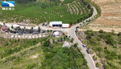 襄阳枣阳：以路兴产 以产养路