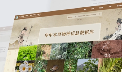 解码本草！中药多组学成分库上线！华中地区首个千万级本草多组学成分库（SHMC）发布