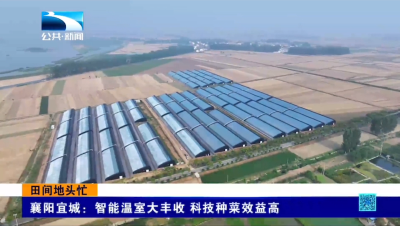 襄阳宜城：智能温室大丰收 科技种菜效益高