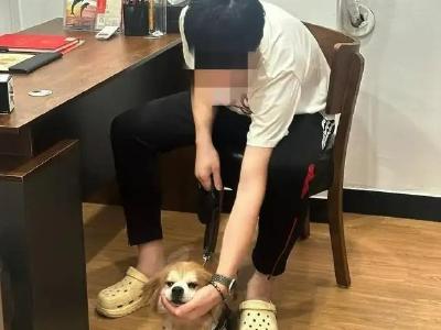 4只宠物狗获得10多万遗产，这样的遗嘱有法律效力吗？
