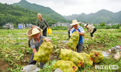 恩施州受灾地区水电路网基本恢复 