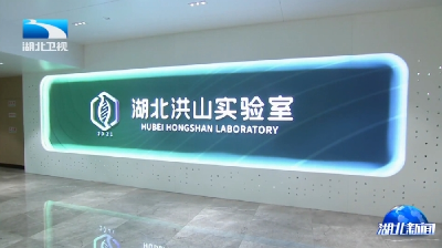 宁咏强调 发挥高校党外知识分子优势 为支点建设贡献力量