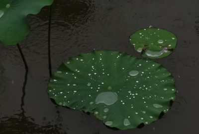 “佛系梅雨”今日到货！首单暴雨配送超量