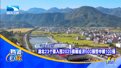 湖北23个镇入围2025镇域经济500强暨中部100强