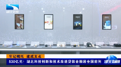 牢记嘱托 建成支点 | 530亿元！湖北科技创新和技术改造贷款金额居全国前列