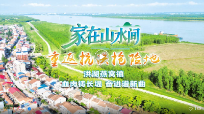 洪湖燕窝镇：血肉铸长堤 奋进谱新曲
