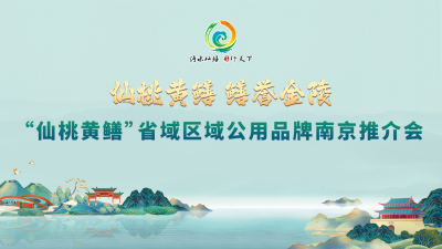 直播 | 仙桃黄鳝 鳝誉金陵