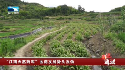 咸宁通城：“江南天然药库”医药发展势头强劲