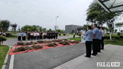 洪湖：万株罂粟集中销毁 铁腕守护无毒净土