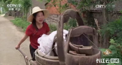 余红梅：拾荒保姆到古建女王的逆袭