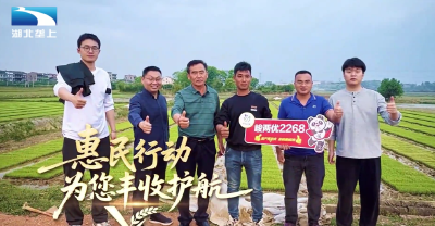 惠民水稻学院：水稻专家田边“问诊”护航丰收