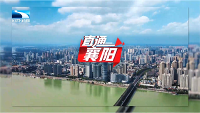 直通襄阳丨“四上”企业调研服务行 七千余家企业获精准帮扶