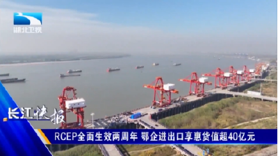 RCEP全面生效两周年 鄂企进出口享惠货值超40亿元