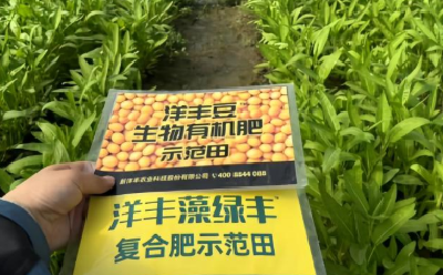 新洋丰的土地“续约”记：从石犁到科技的耕心传承