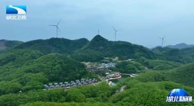 2025年6月29日湖北新闻