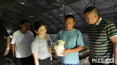 襄阳宜城：保险赋能+政策托底 为特色农业保驾护航