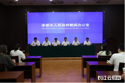 孝感速度！608宗“五证同发”+“跨省通办”“孝着办”品牌这样炼成